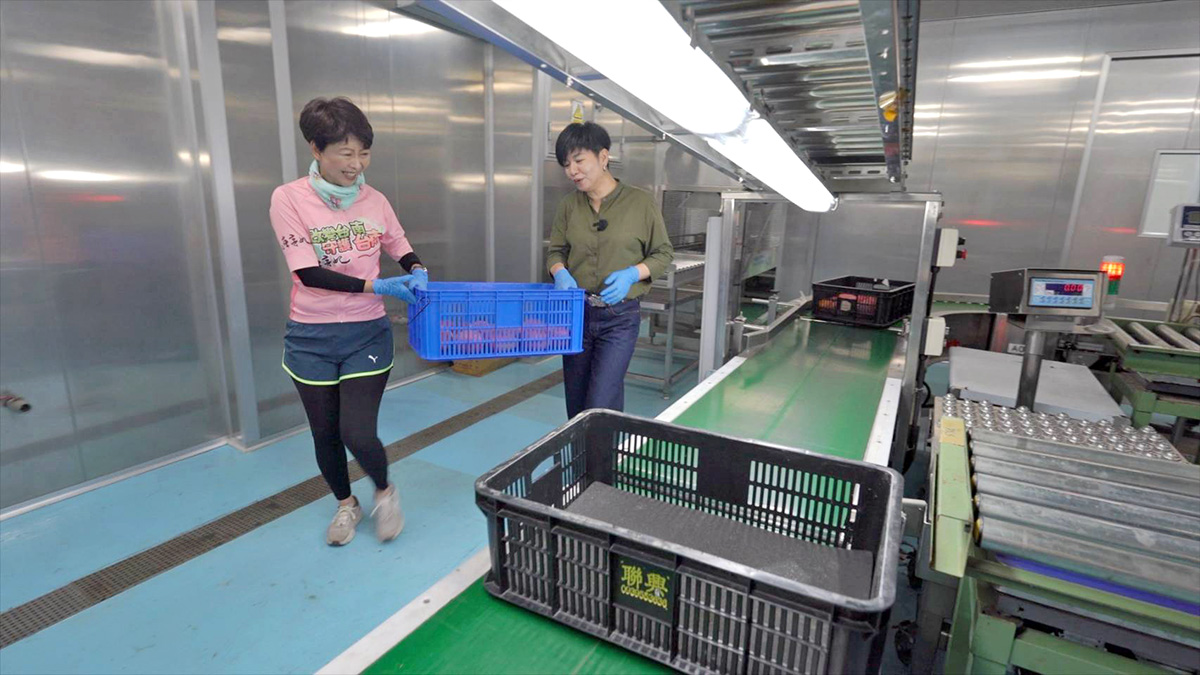 陳亭妃想把傳產、科技、醫療…，「串起來」組成「台南隊」出國搶訂單。