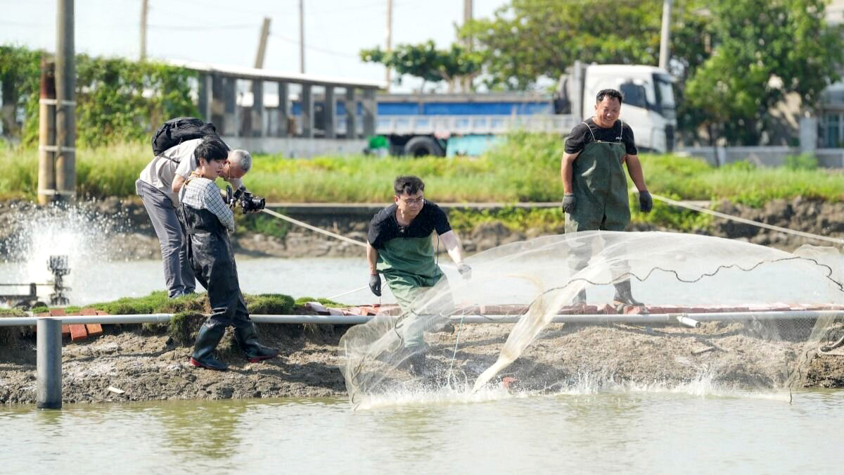 賴瑞隆在魚塭撒網捕魚。