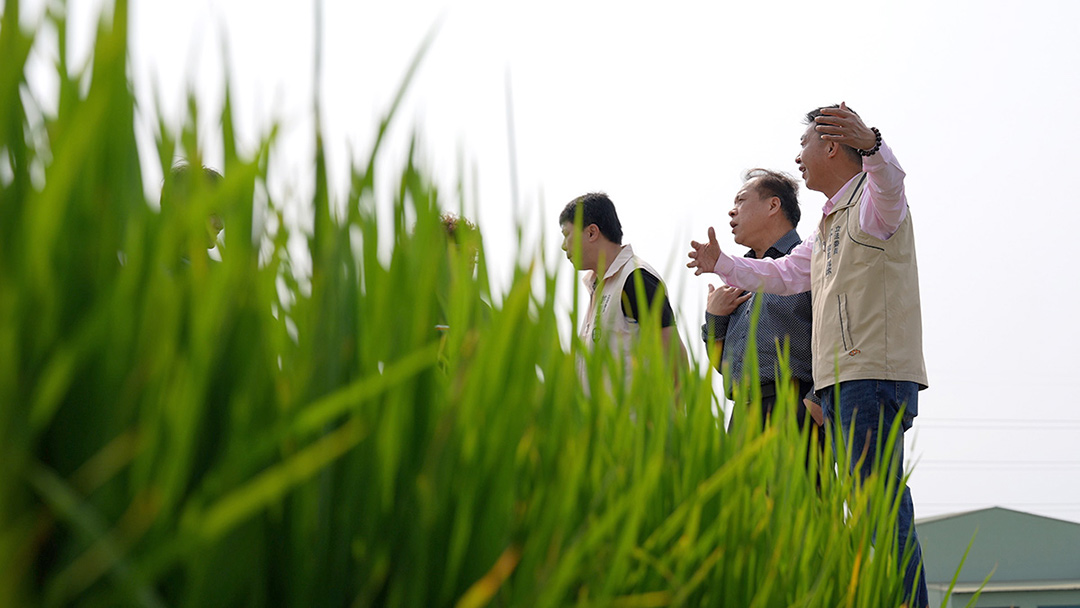 檯面下的六都戰——高雄市許智傑曾當過鳳山市長，有行政經驗，以「AI首都」為訴求，希望打造智慧農業。