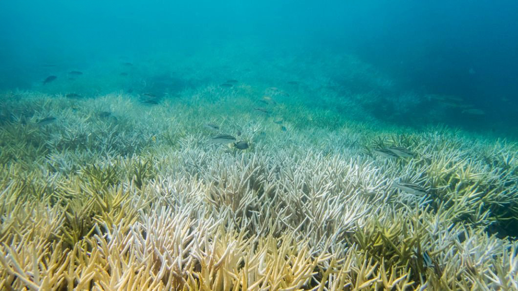 海水受熱膨脹是目前海平面上升的主要原因。(示意圖/shutterstock達志影像)