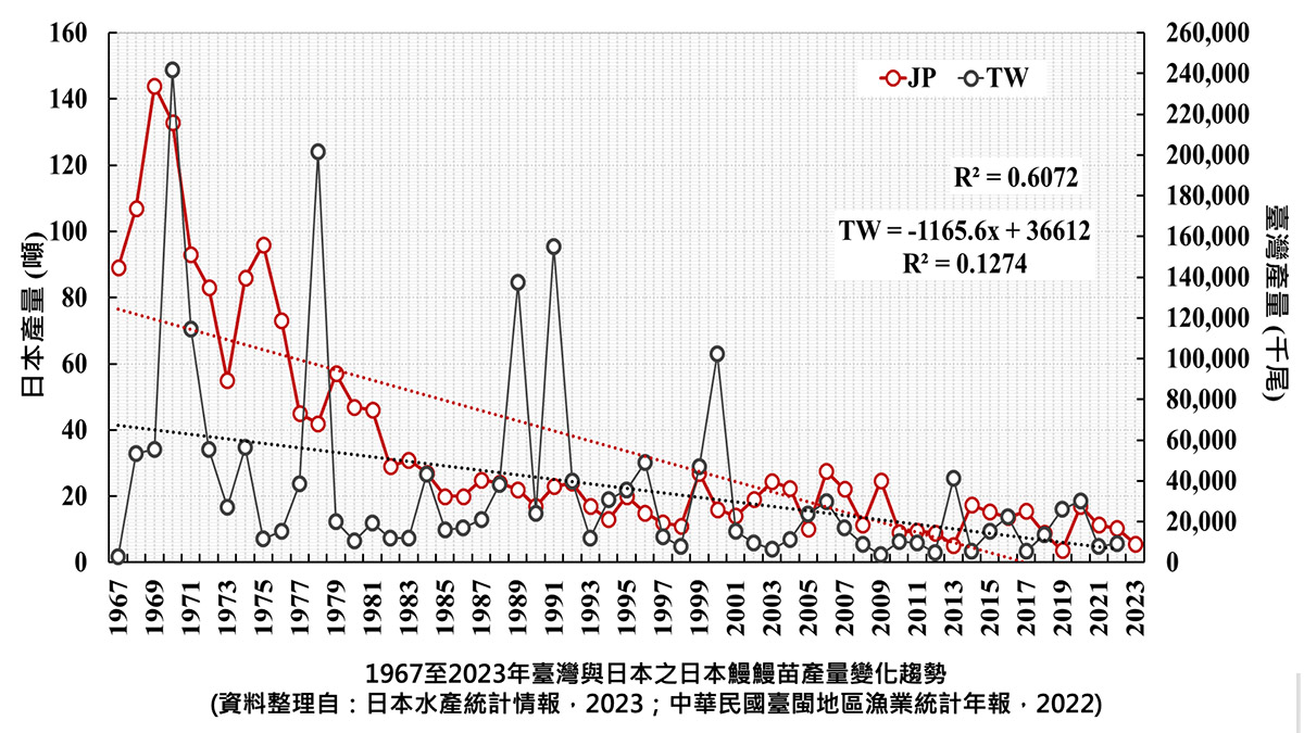 侯清賢副教授整理日本以及台灣的日本鰻鰻苗產量變化,發現過往這50幾年的變化,從高峰跌到谷底。(圖/侯清賢副教授提供)