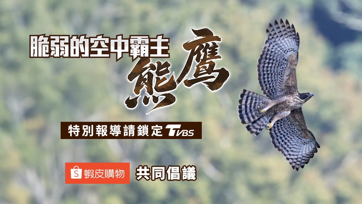 ad-banner