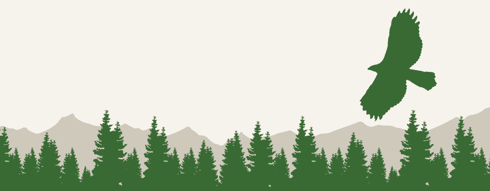 TVBS-GOOD footer-img