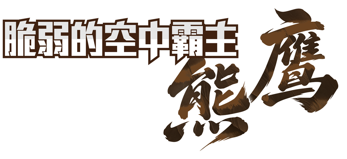 脆弱的空中霸主 熊鷹