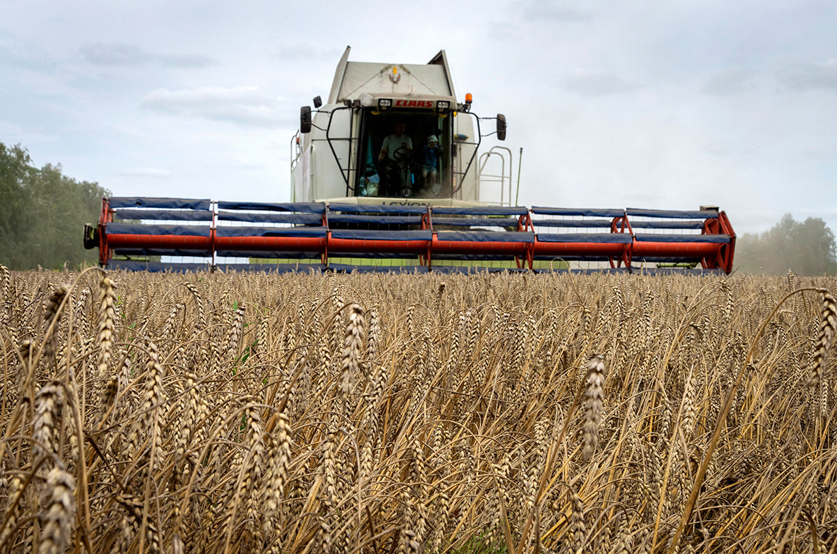 TVBS俄烏戰不停專題/工人機具收割烏克蘭小麥，烏國外號「歐洲麵包籃」，耕地面積歐洲第一。（圖／達志影像美聯社）