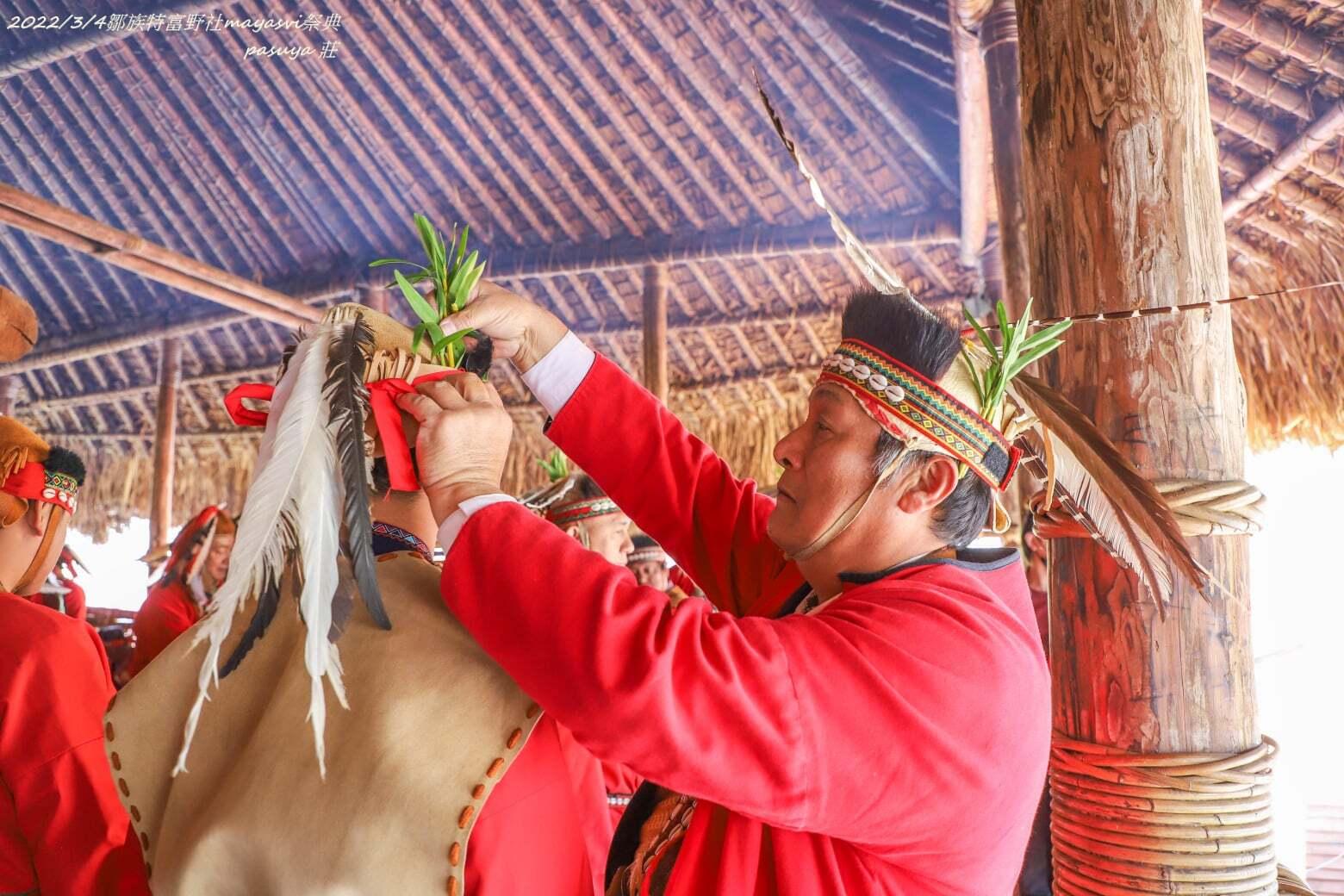 金草蘭（又稱「金草石斛」）在阿里山鄒族傳統文化中具有重要地位，是鄒族祭典中族人與神靈溝通的媒介。© 莊信然