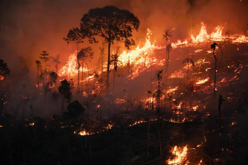 為2022年發生於巴西亞馬遜叢林的森林大火。© Nilmar Lage / Greenpeace